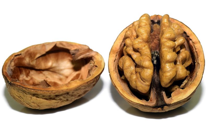 Walnuts image