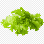 lettuce leaves